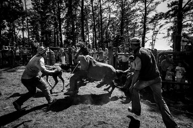 Amil, Galicia, Spain (01), 2009 | Edition 50, Serie 