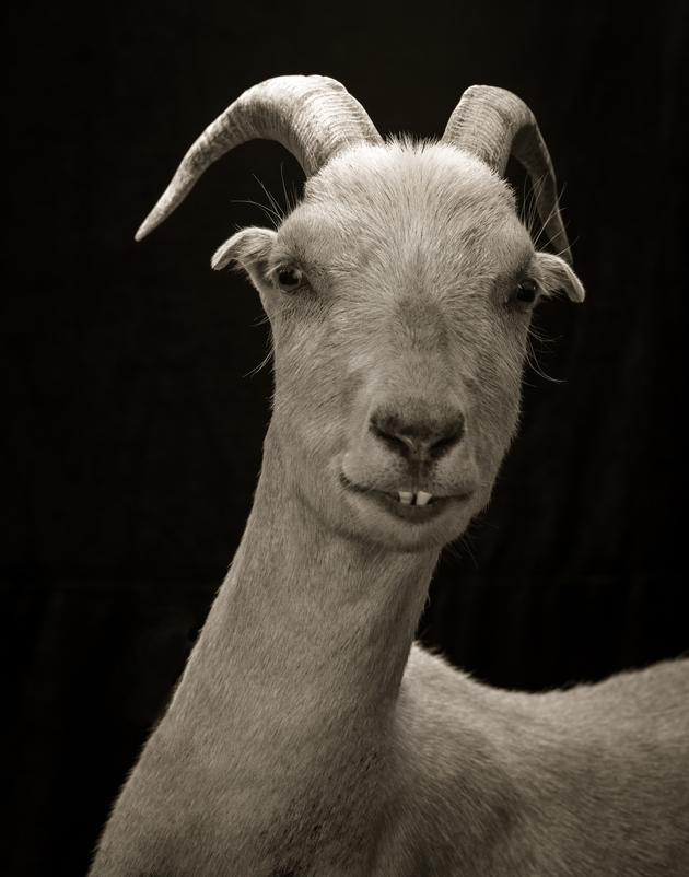 Stanwood, Serie Chattel, 2015 | Edition 15 + 2 APs | Artikelnummer: KHO_02_43x33PAL_SR0