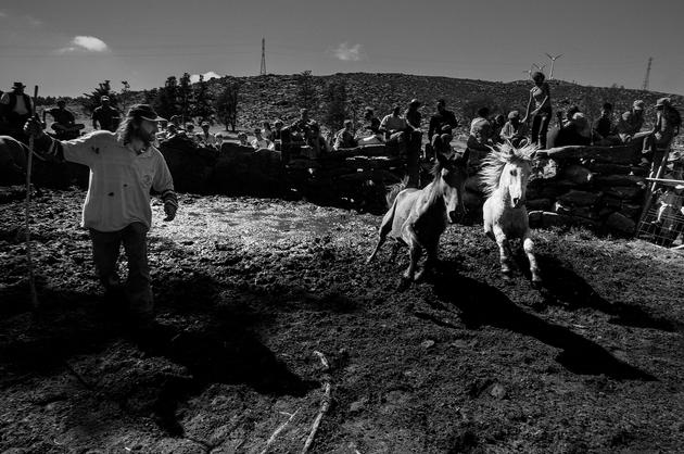 Amil, Galicia, Spain (02), 2009 | Edition 50, Serie 