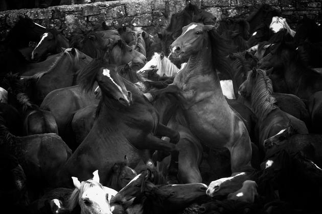 Sabucedo, Galicia, Spain (09), 2009 | Edition 20, Serie  
