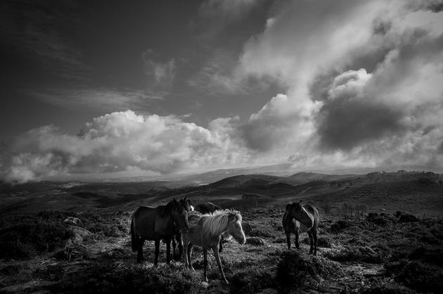 Sabucedo, Galicia, Spain (01), 2009 | Edition 20, Serie  