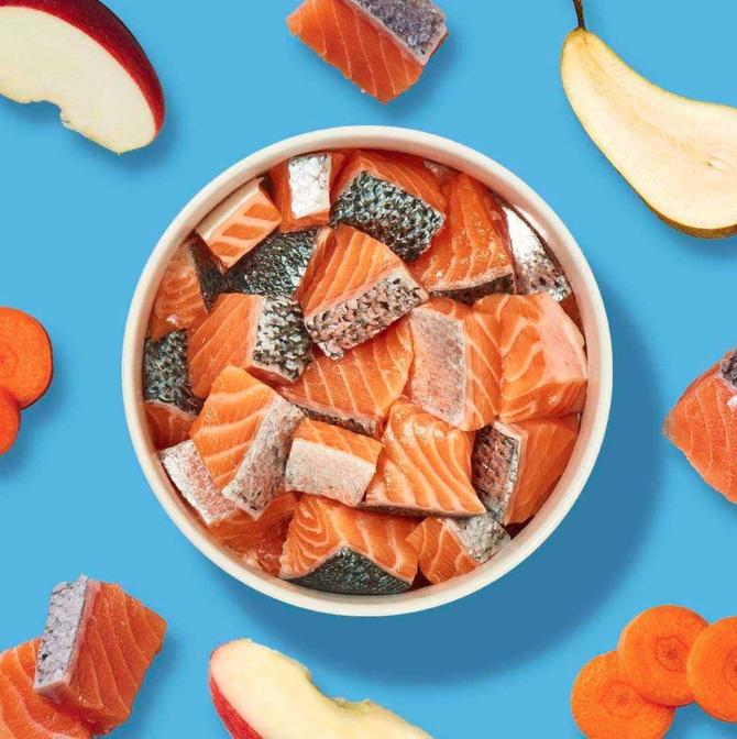 Komfort Plus Lachs