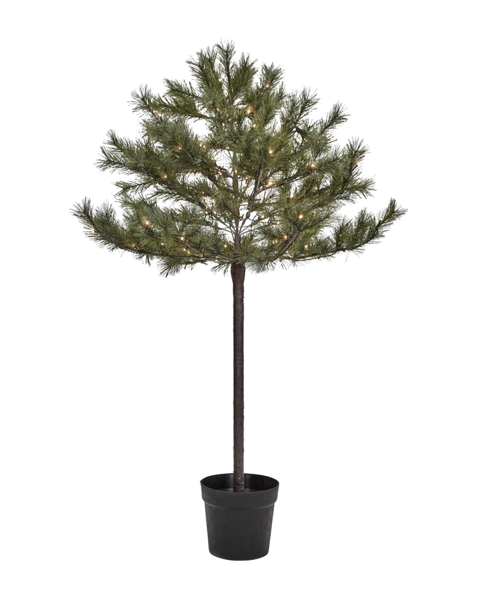 Weihnachtsbaum "Peuce" mit 110 LED´s von House Doctor