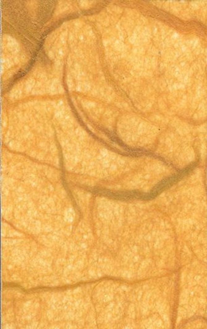 Faserseide 25 g/m², 47 x 64 cm, 10 Bogen, rehbraun