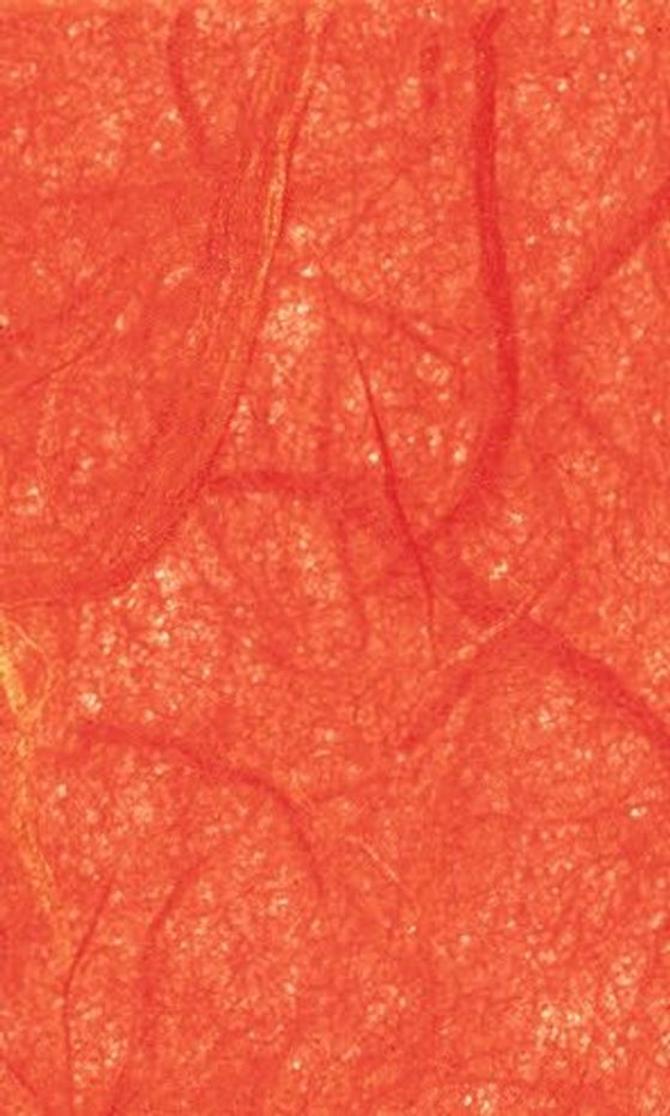 Faserseide 25 g/m², 47 x 64 cm, 10 Bogen, orange