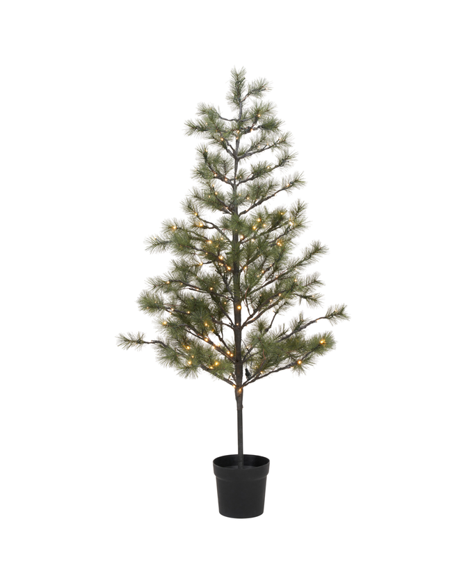 Weihnachtsbaum "Peuce" mit 180 LED´s von House Doctor