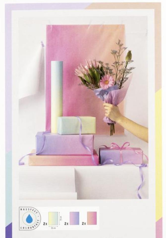 Blumenseide "Regenbogen pastell Farbverlauf" 50x70cm, 6 Bogen