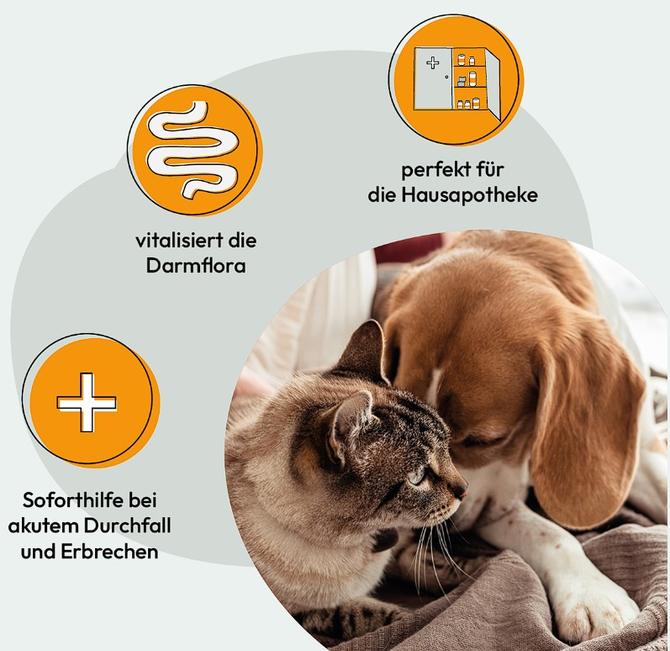 Sanofor_Produkt