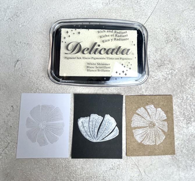 Delicata Pigment Stempelkissen "white shimmer"