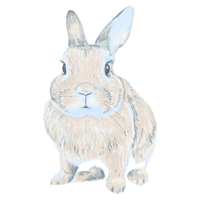 Postkarte "Rabbit" Vorderseite