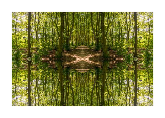 Waldsee