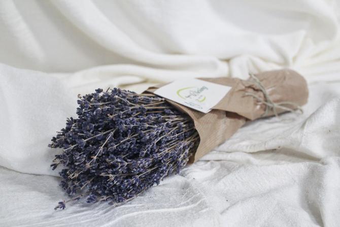Bund Lavendel