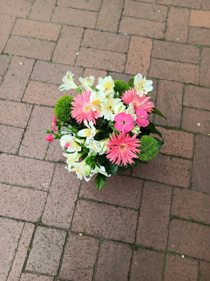 "Sommer Gruß"