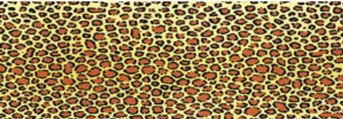 Fotokarton "Tierfell" 49,5 x 68 cm, 10 Bogen "Leopard"