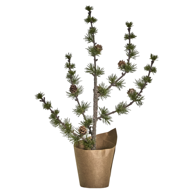 Weihnachtsbaum "Stay" klein von House Doctor
