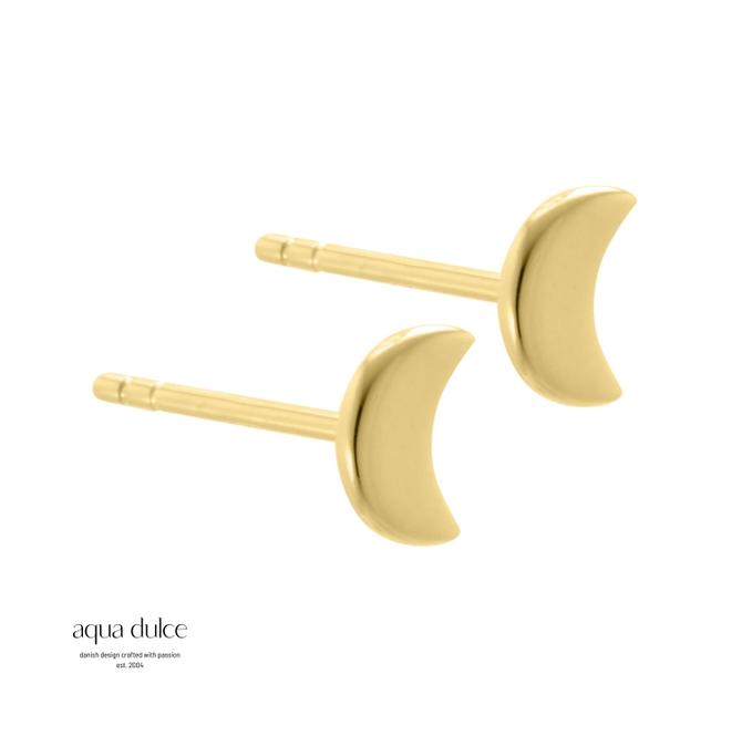 Aqua Dulce  DARLING MOON SELMA EARSTUDS 4059