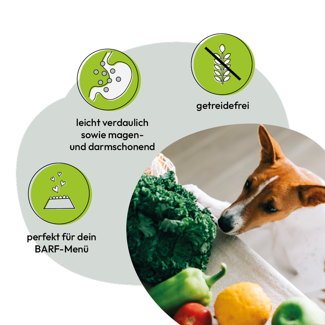 Gemüsemix_1_Verpackung