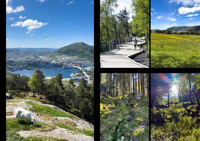 Bergen Norway Photodiary #1
