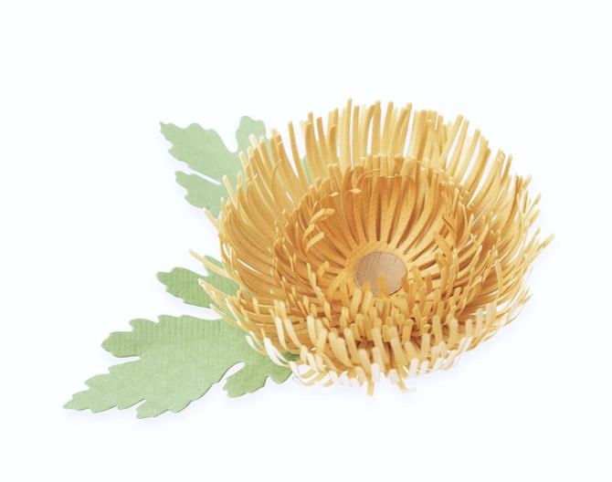 Stanzschablone "Chrysantheme", bis D. 8,5cm, 5-tlg.