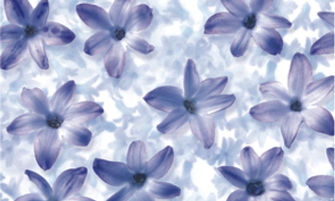 Transparentpapier FRUITS & FLOWERS, 115 g/m², 50,5 x 70 cm, verschiedene Motive auf Einzelrolle