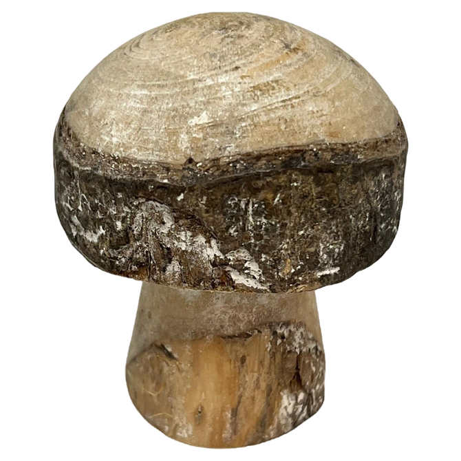 Pilz "Champignon" aus Holz Naturbelassen in Eigenproduktion