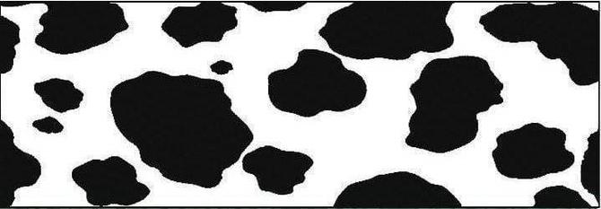 Fotokarton "Tierfell" 49,5 x 68 cm, 10 Bogen "Kuh"