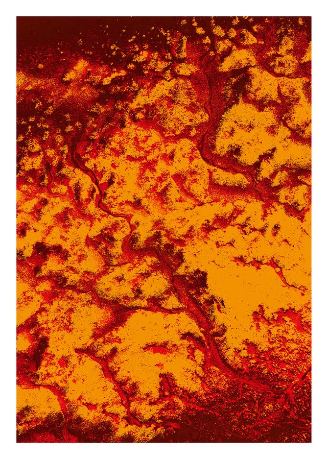 Lebensadern – Orange