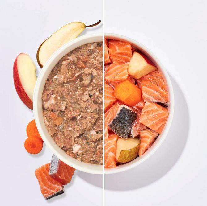 Komfort Plus Lachs