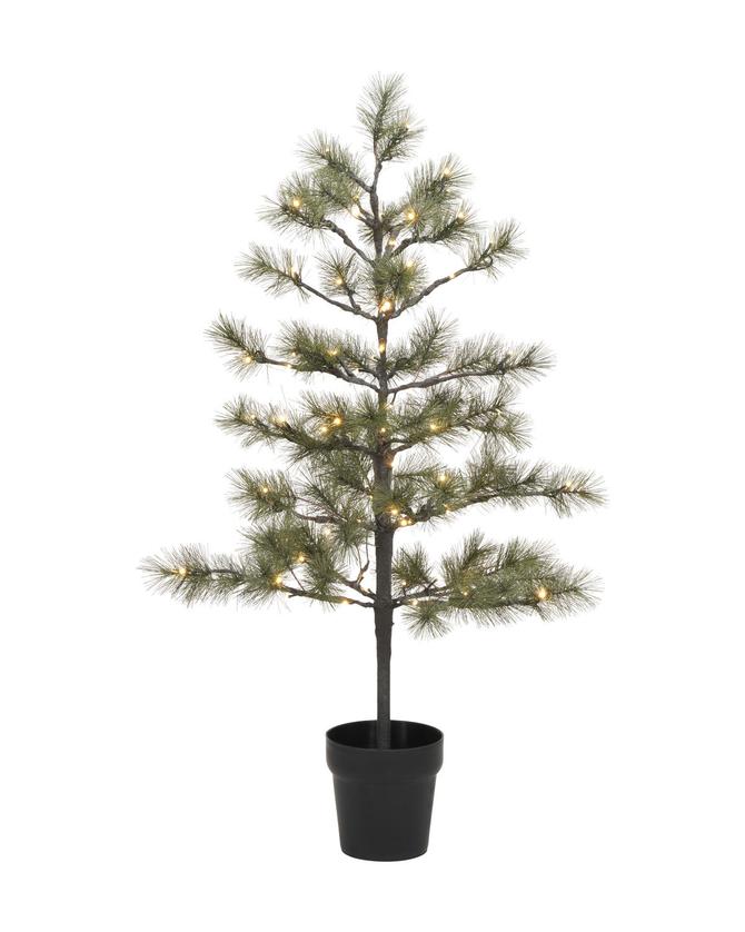 Tannenbaum "Peuce" mit LED´s von House Doctor