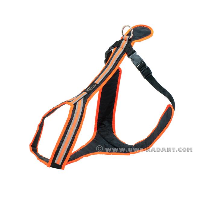 Safety Orange