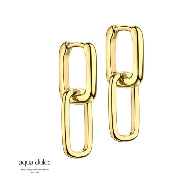 Aqua Dulce  MILA CUBIC EARRINGS 4631