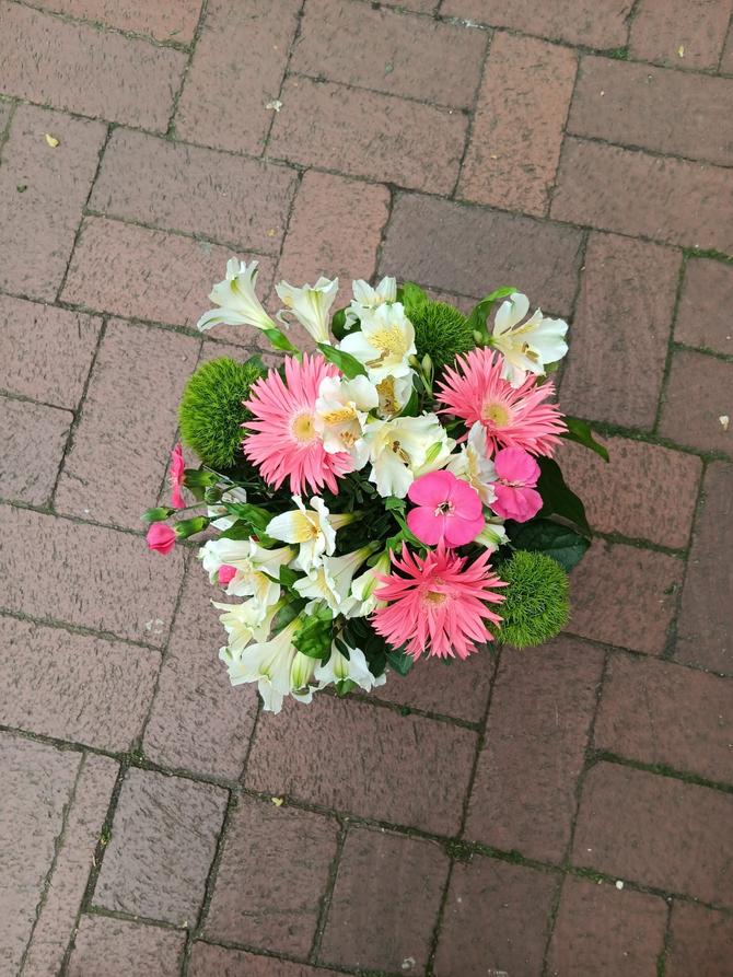 "Sommer Gruß"