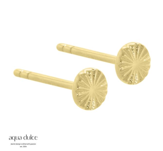  Aqua Dulce LINE COIN EARRINGS 4117
