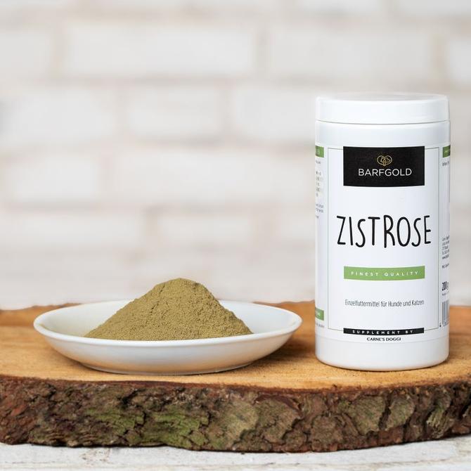 Zistrose von Barfgold