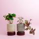 Hoff Pot - Set - Ø 8 cm