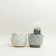 Eggshell Re-Planter #6