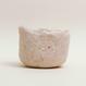 Eggshell Re-Planter #4