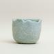Eggshell Re-Planter #2