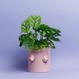 Pinker Heart Boob Pot 