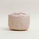 Eggshell Re-Planter #4