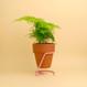 Best Plant Shop - The Botanical Room