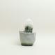 Eggshell Re-Planter #6