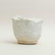 Eggshell Re-Planter #1