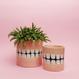 Denture Pot - S
