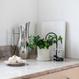 Plant Straw schwarz - S