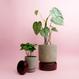 Hoff Pot - Set - Ø 14 cm