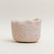 Eggshell Re-Planter #4