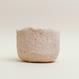Eggshell Re-Planter #4