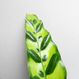Calathea lancifolia