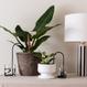 Plant Straw schwarz - S
